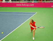 Fed Cup 2010