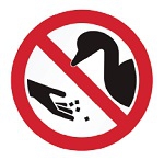 NO ALIMENTE COM PO OS PATOS DA PISTA DE ATIVIDADES NUTICAS!