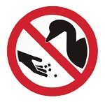 DO NOT FEED THE DUCKS OF THE NAUTICAL ACTIVITIES TRACK!
