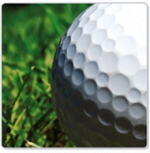 Leitura: Estudos revelam �grande progresso�, diz ministra (22-10-2007)