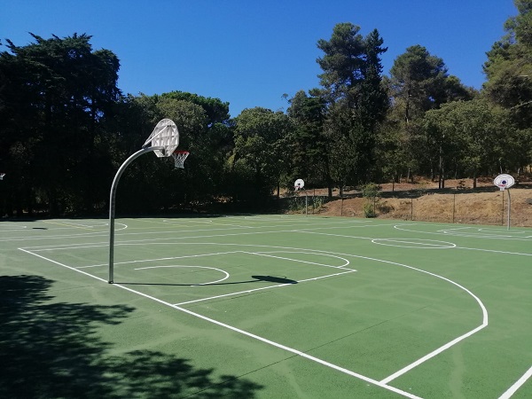 BASQUETEBOL, RESUMO DESPORTIVO